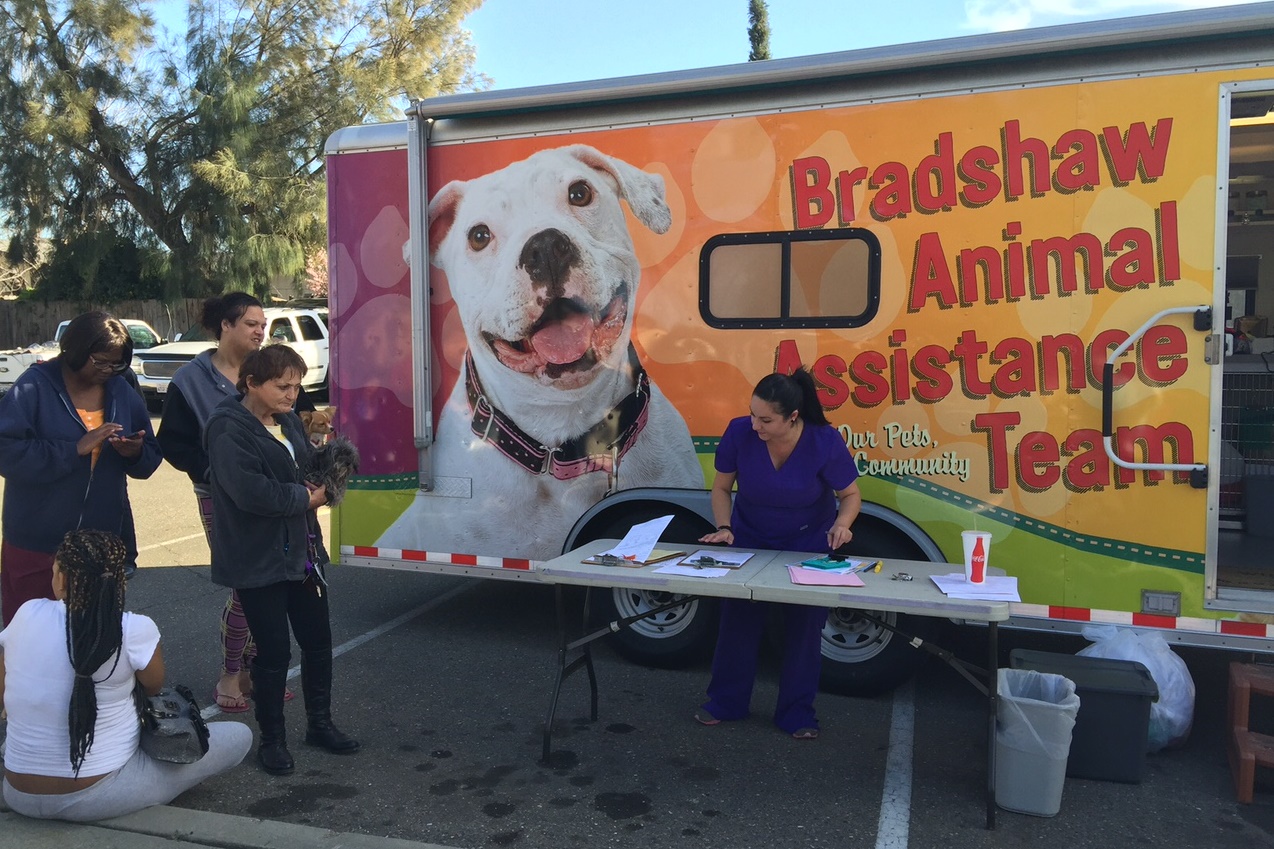 a photo of The Bradshaw Animal Assistance Team helping dog owners 