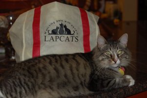 Cat next to LAPCAT tote bag